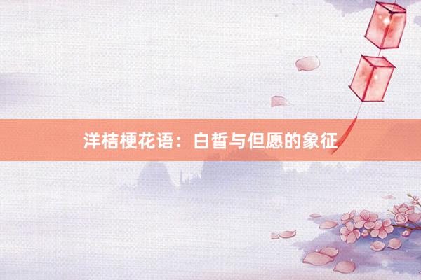 洋桔梗花语：白皙与但愿的象征